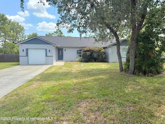 11080 Jackdaw Rd, Weeki Wachee, FL 34614