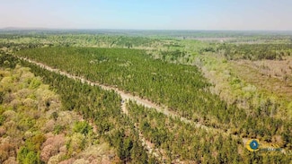 Buffalo Creek Rd, Jefferson, SC 29718