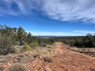 1022 Duffis Bluff Rd, Seligman, AZ 86337