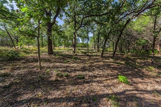 1053 Creek Crossing Rd, Nemo, TX 76070