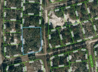 238 Blue Horizon Dr, Lake Placid, FL 33852