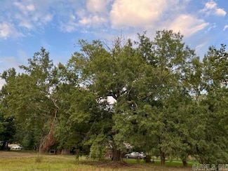 114 Morgan St, Murfreesboro, AR 71958