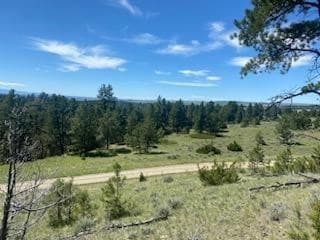 7 Bugling Elk Ln, Columbus, MT 59019