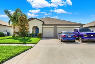 13573 Willow Bluestar Loop, Riverview, FL 33579