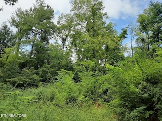 2036 Ridge Rd Unit 16, Pigeon Forge, TN 37863