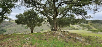 0 Salinas Salinas Rd, San Juan Bautista, CA 95045