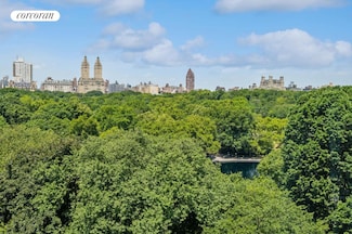 920 5th Ave Unit 8A, New York, NY 10021