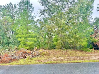 TBD SW 46th Terrace Unit Lot 41, Ocala, FL 34473