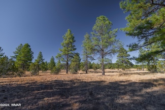 039G Dynamite, Lakeside, AZ 85929
