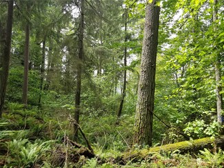 1500 XX E Lake Sammamish Pkwy SE, Sammamish, WA 98075