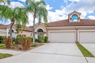 3789 Darston St, Palm Harbor, FL 34685