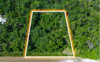 00 County Road 349, O'Brien, FL 32071