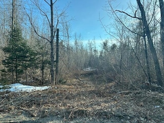 32 Atkinson Rd, Bradford, ME 04410