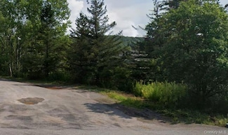 00 Crescent Hill Rd, Andes, NY 13731