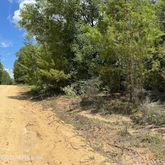 000 Cardinal St, Interlachen, FL 32148