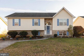 313 W Tevis St, Winchester, VA 22601