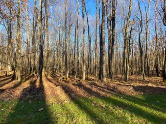 Lots 122 & 123 Goldenrod Dr, Terra Alta, WV 26764