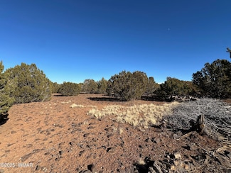 0 Hawk Rd, Show Low, AZ 85901