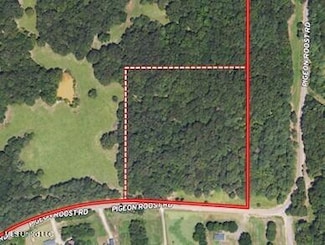0 Red Banks Rd, Coldwater, MS 38618