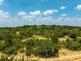 15310 U S 277, Wingate, TX 79566