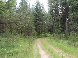 0 Rd Unit 286506573, Wallowa, OR 97885