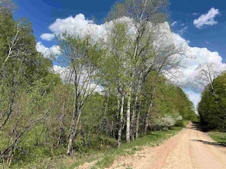TBD Pesek Rd, East Jordan, MI 49727