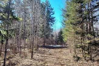 0 County Road Y, Tomahawk, WI 54487