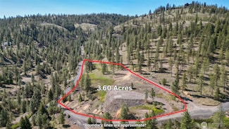 31640 E Ringneck, Davenport, WA 99122