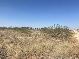 Lot 1 County Rd 1178 Unit Lot 1, Midland, TX 79709