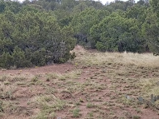 60 High Vista Dr, Indian Hills, NM 87035