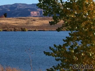 1321 Gold Lake Dr, Loma, CO 81524