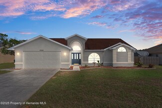 3606 Dow Ln, Spring Hill, FL 34609