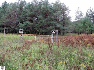 00 W 14 Rd, Mesick, MI 49668