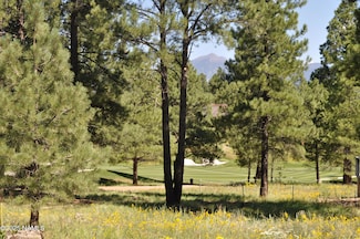 1600 E Castle Hills Dr Unit 4, Flagstaff, AZ 86005