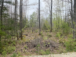 Lot 5 Pret's Meadow Ln, Blue Hill, ME 04614