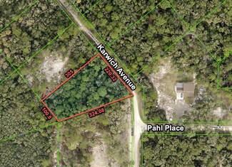 6450 Karwich Ave, Webster, FL 33597