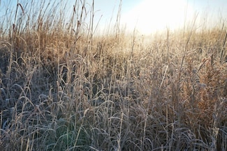 Avenue Unit A LotWP001, Wilmore, KS 67155