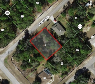 2832 W Forbes Place, Citrus Springs, FL 34434