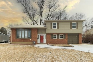 1446 E Gloria Dr, Palatine, IL 60074