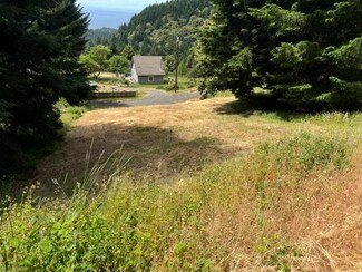 678 Wolverine Way, Whitethorn, CA 95589