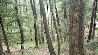 00 Upper River Ave, Dunsmuir, CA 96025