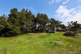 0 XX Surf St, Westport, WA 98595