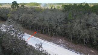 35021 Manuel St, Webster, FL 33597