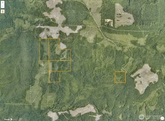 0 0 Unit NWM2454601, Humptulips, WA 99353