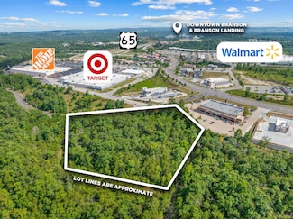 201 Ozark Scenic Dr, Branson, MO 65616