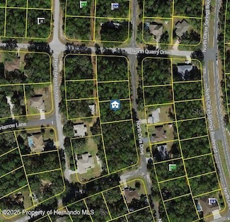 10768 N Orva Dr, Dunnellon, FL 34434