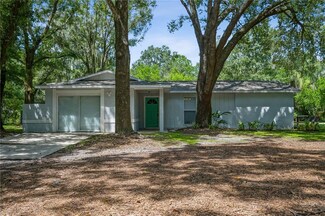 910 W Lutz Lake Fern Rd, Lutz, FL 33548
