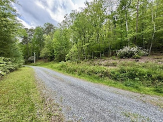 208 Bullen Gap Rd, Blue Ridge, GA 30513