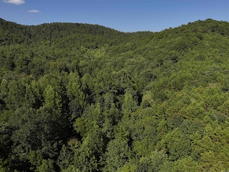 Lot 17 Polk County Road 78, Mena, AR 71953