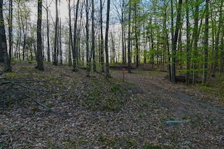 N12655 Hemlock Shores Ct, Athelstane, WI 54104